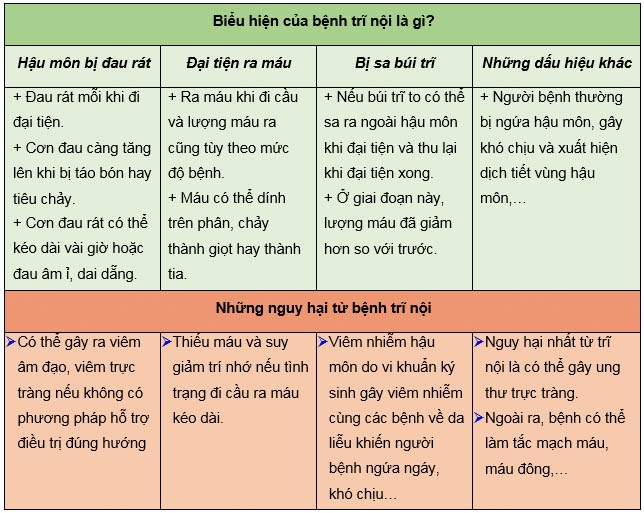 biểu hiện bệnh trĩ nội
