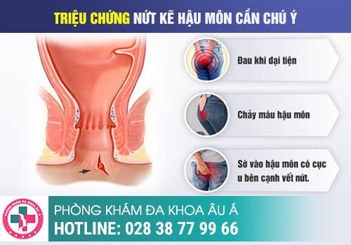 Đi cầu đau bất thường là bệnh gì?